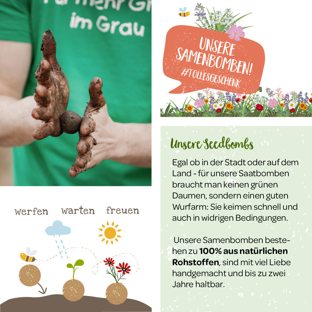 Samenbomben-Komplettpaket – 8 Sorten