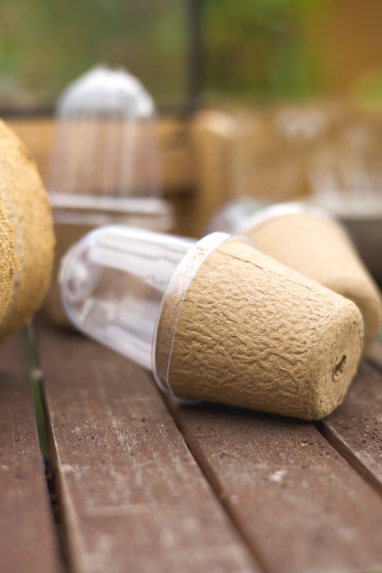 Kompostierbare Anzuchtstöpfe mit Belüftung