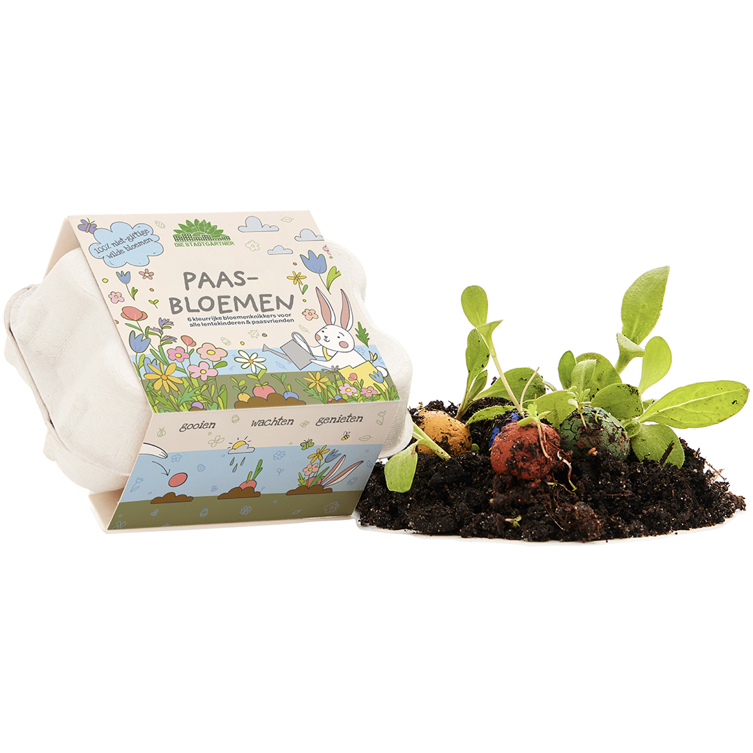 6 kleurrijke bloemknikkers in een eierdoos