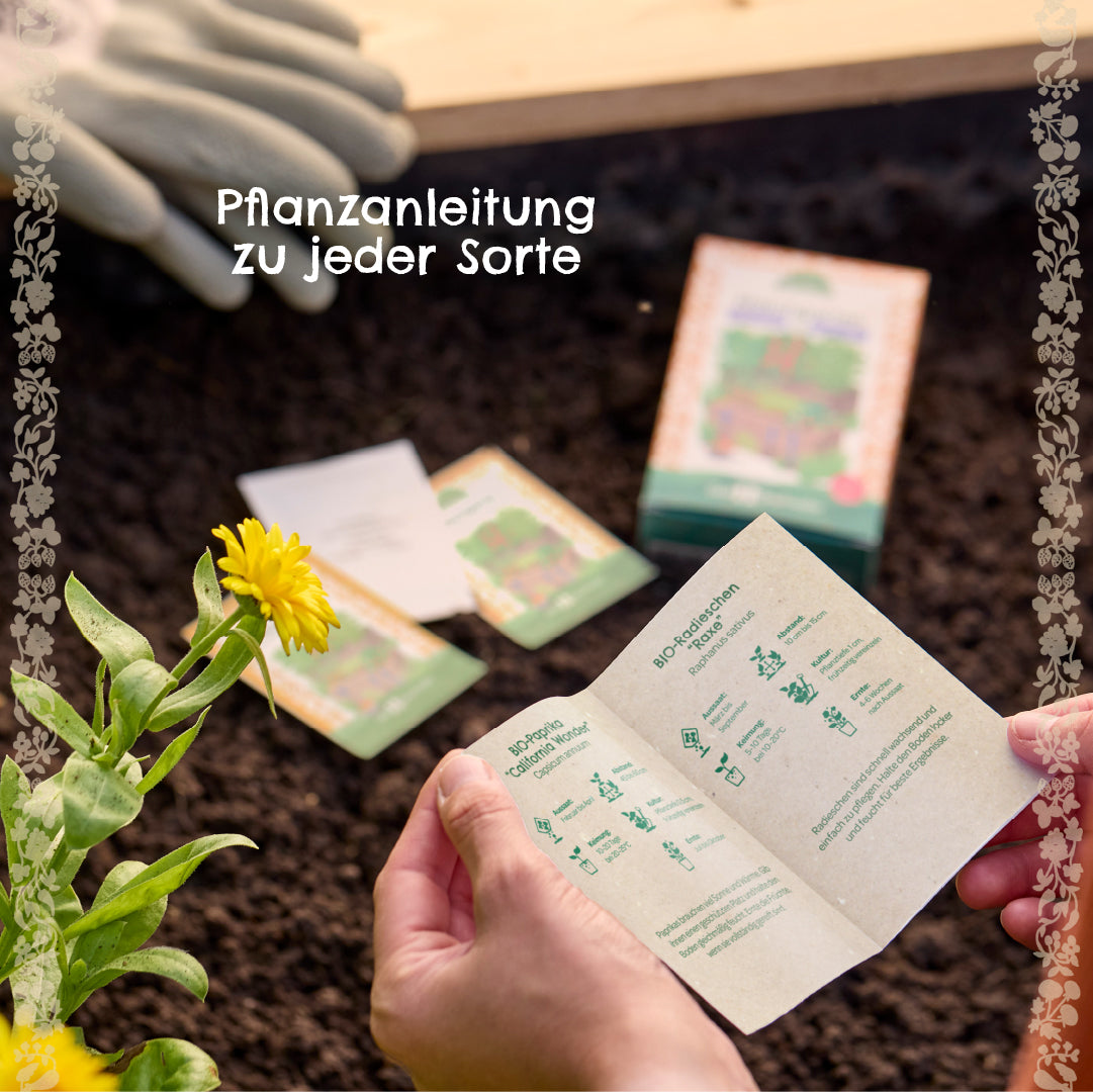 Saatgut-Set "Sonnenblumen"