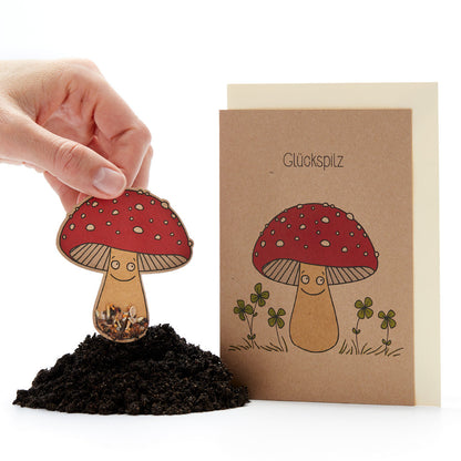 Grußkarte "Glückspilz"