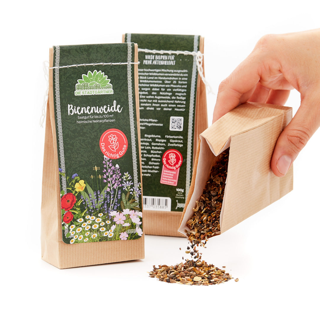 100 g Bienenweide-Saatgut