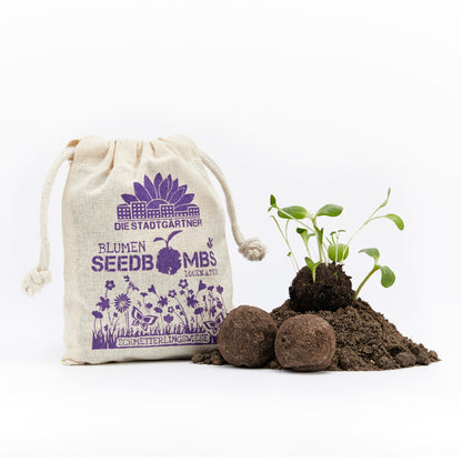 Samenbomben "Schmetterlingswiese" im Jutebeutel