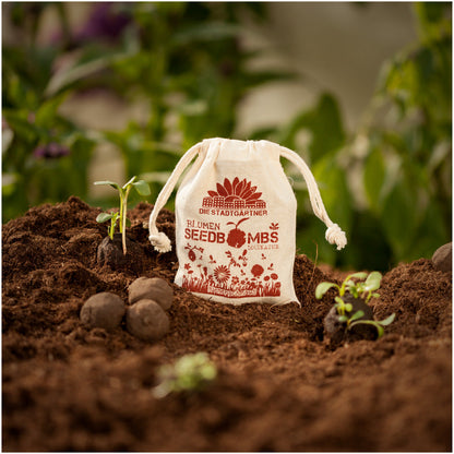 Bienenschmaus-Samenbomben