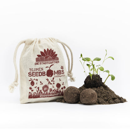 Bienenschmaus-Samenbomben