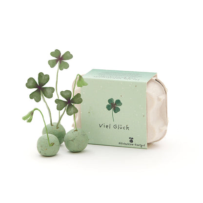 6 bunte Blumenmurmeln im Eierkarton "Viel Glück"