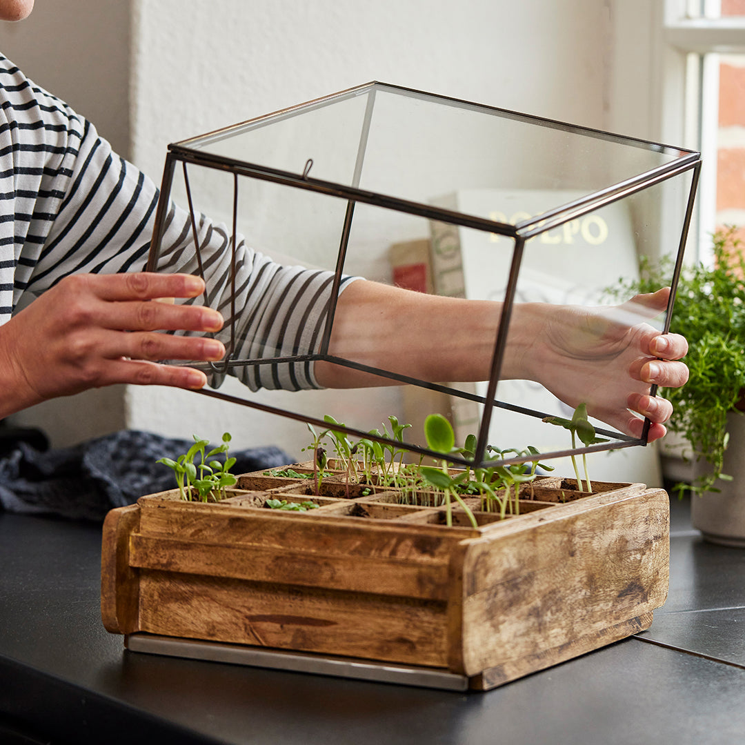 Hochwertiges Anzuchthaus mit 16 Fächern