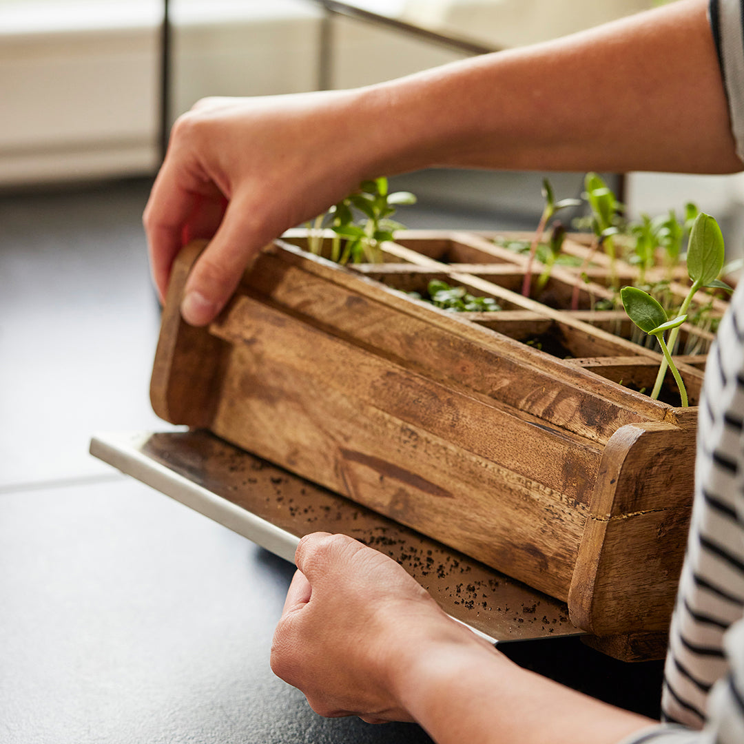Hochwertiges Anzuchthaus mit 16 Fächern