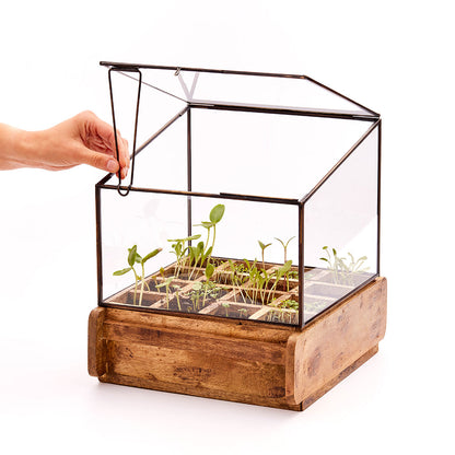 Hochwertiges Anzuchthaus mit 16 Fächern