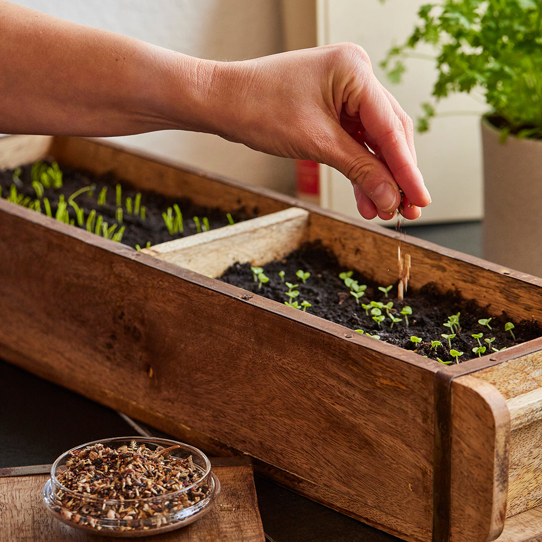 Lange Ziegelform mit 2 Fächern