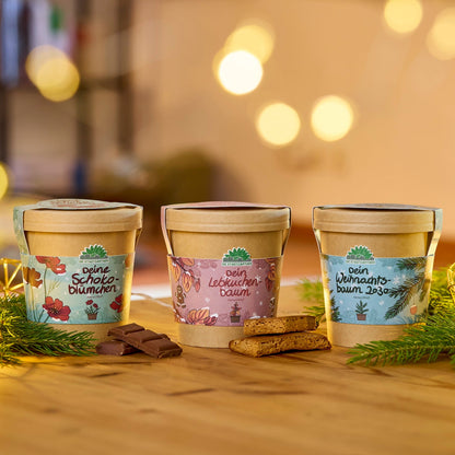 Festliches Anzucht-Set – 3 weihnachtliche Sorten