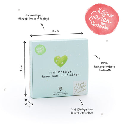 Pflanzkästchen - Herzrasen