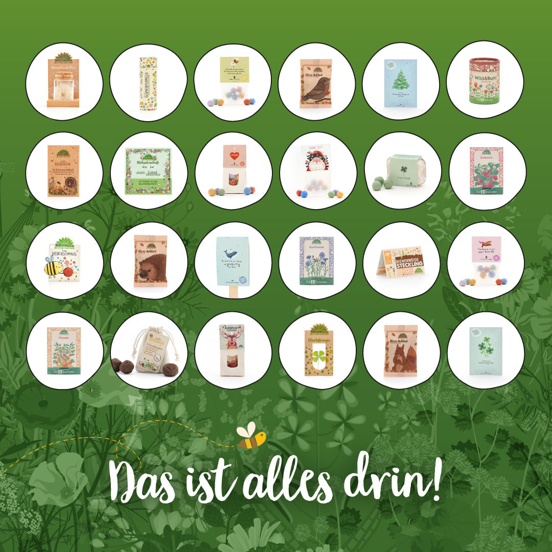 Adventskalender 2025 "Die Stadtgärtner"