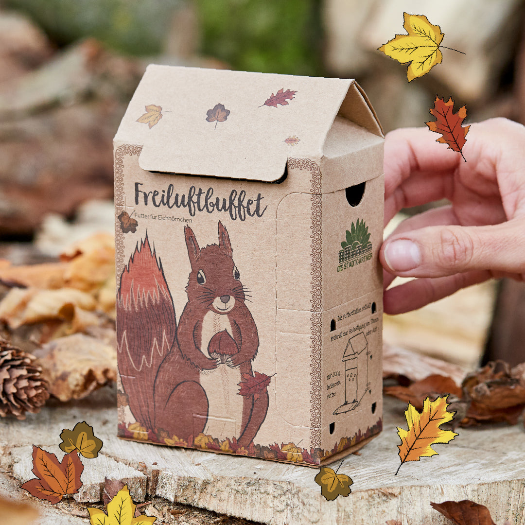 Freiluftbuffet für Eichhörnchen