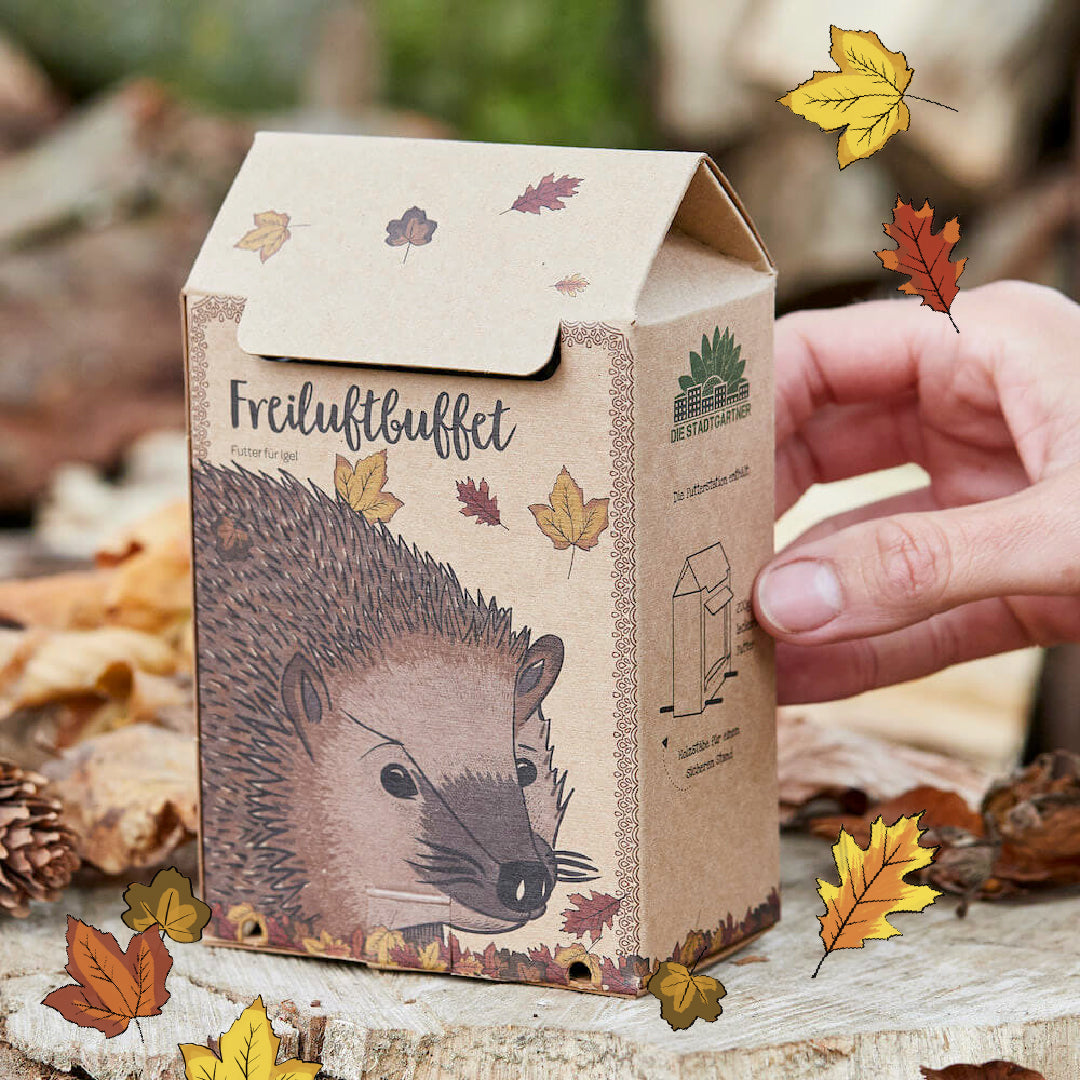 Freiluftbuffet für Igel