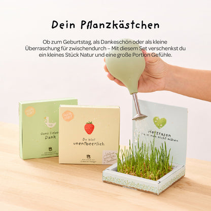 Pflanzkästchen - HDGDL - Hab dich ganz doll lieb