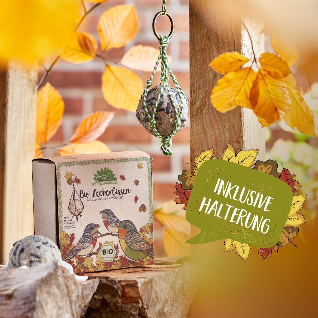 4 BIO-Leckerbissen – Futterknödel