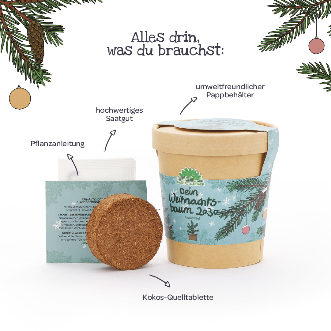 Weihnachtsbaum 2030 aus dem Becher