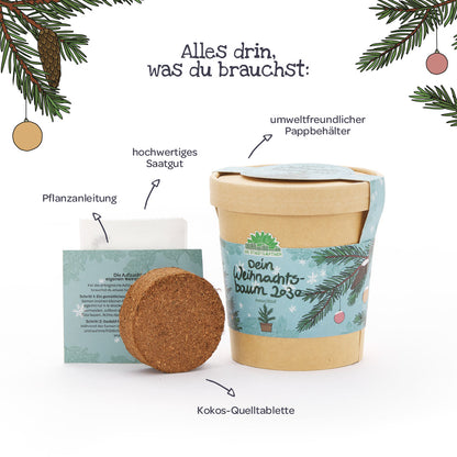 Weihnachtsbaum 2030 aus dem Becher