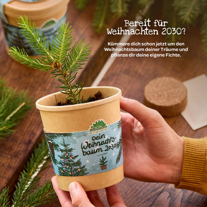 Weihnachtsbaum 2030 aus dem Becher