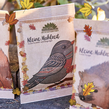 Kleine Mahlzeit – Vogelfutter
