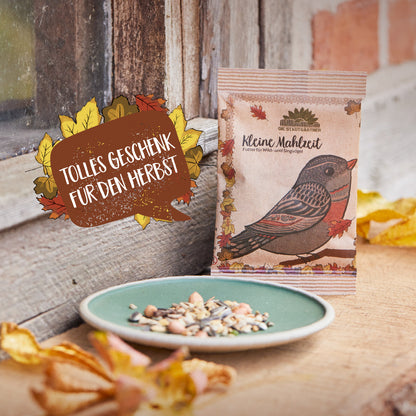 Kleine Mahlzeit – Vogelfutter