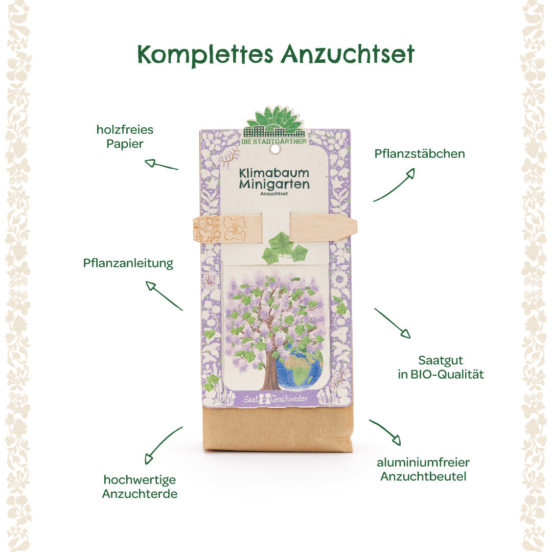 Anzuchtset – Minigarten Klimabaum