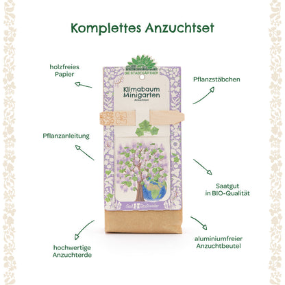 Anzuchtset – Minigarten Klimabaum