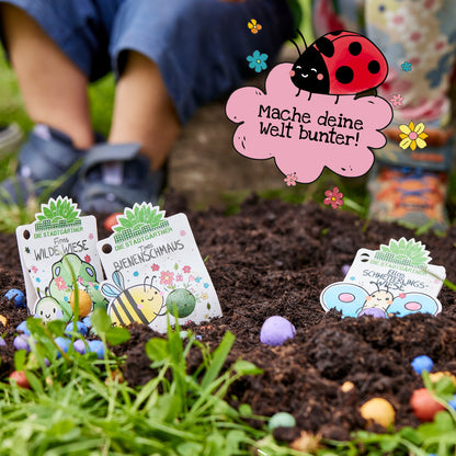 1 Blumenmurmel "Finns Wilde Wiese"