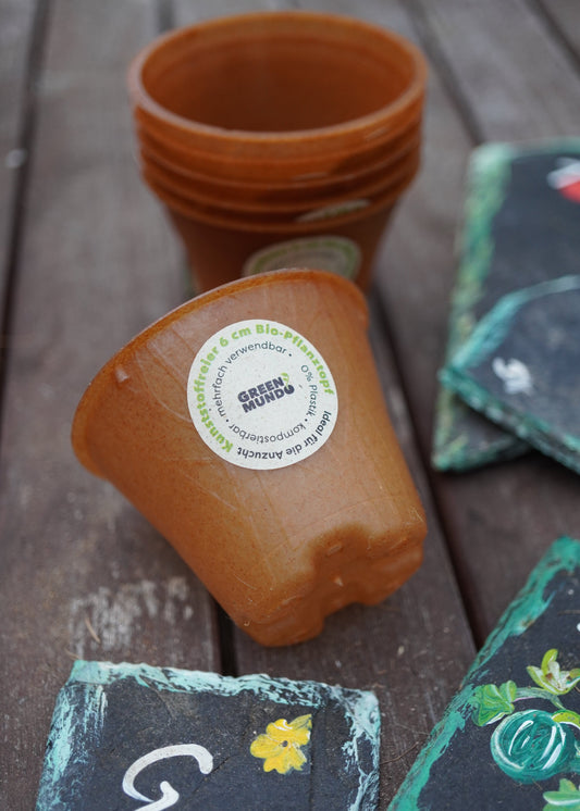 Bio-Pflanztopf - 6cm - plastikfrei