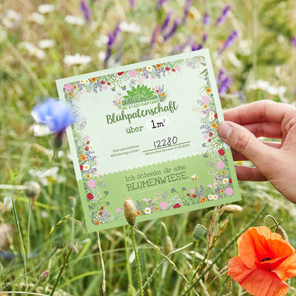 Blühpatenschaft für 1 m² Blumenwiese