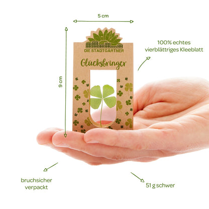 Glücksbringer – Echtes Kleeblatt