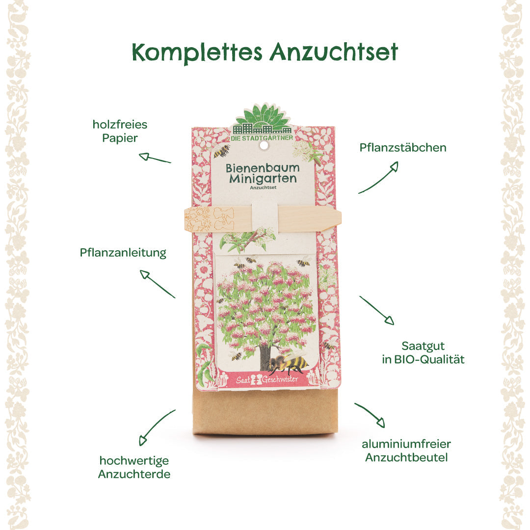 Anzuchtset Minigarten Bienenbaum