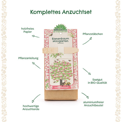 Anzuchtset Minigarten Bienenbaum