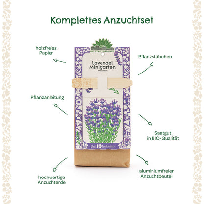 Anzuchtset – Minigarten BIO-Lavendel