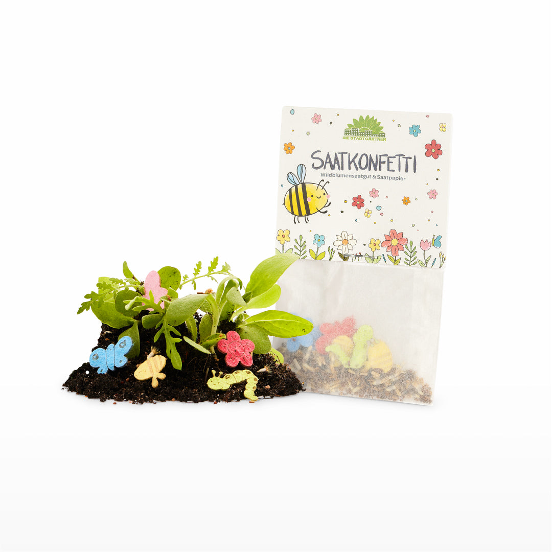 10 x buntes Saatkonfetti im Tütchen