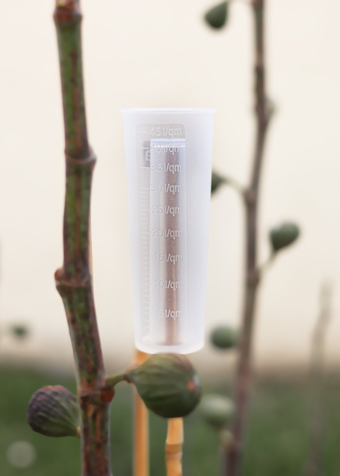 Forena - Regenmesser aus Silikon