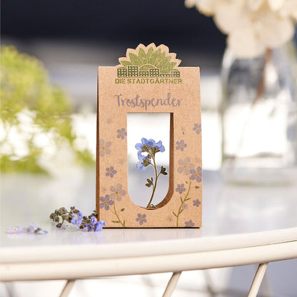 Trostspender – Echtes Vergissmeinnicht