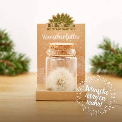 Großer Wunscherfüller – Pusteblume im Glas