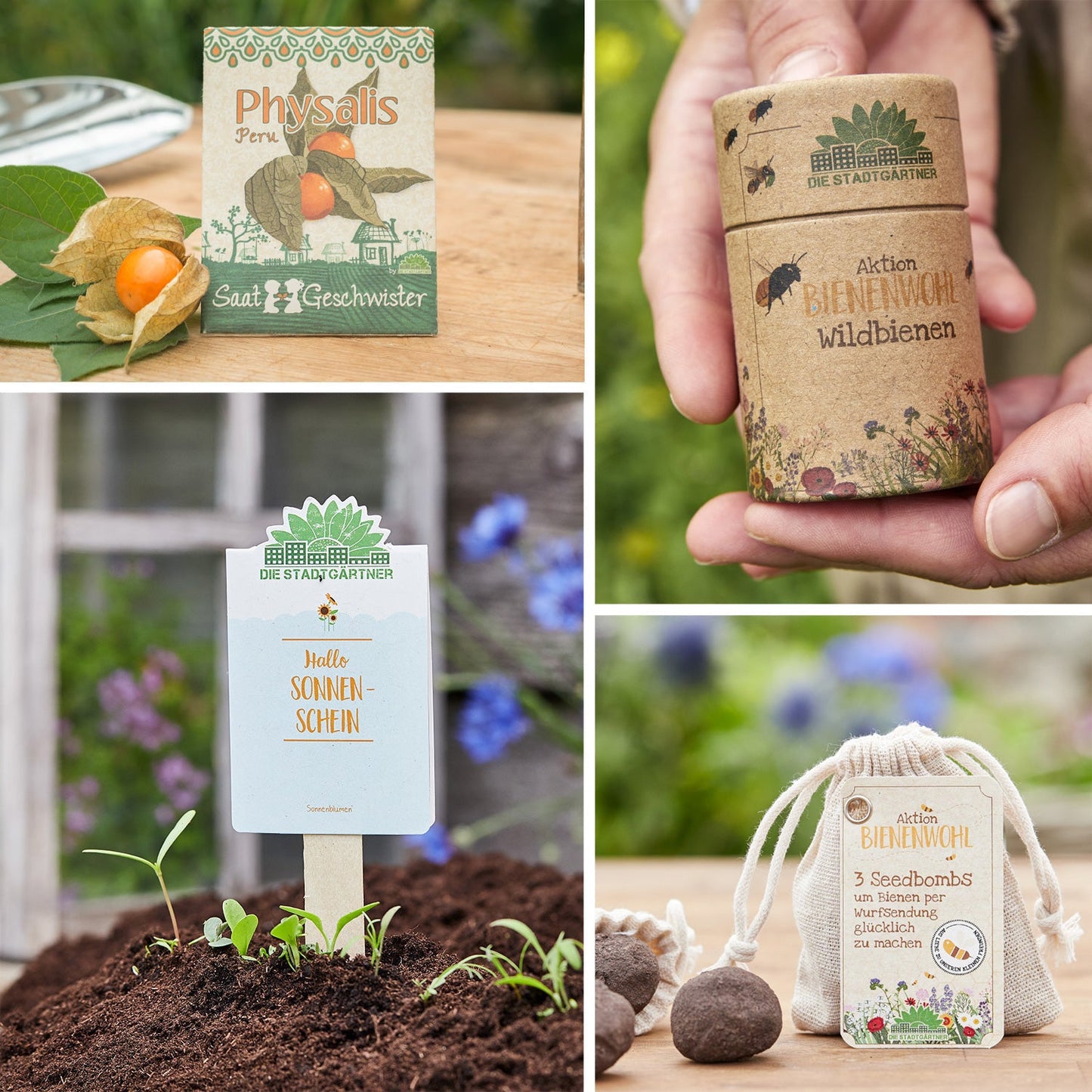 12er Set für deinen Adventskalender