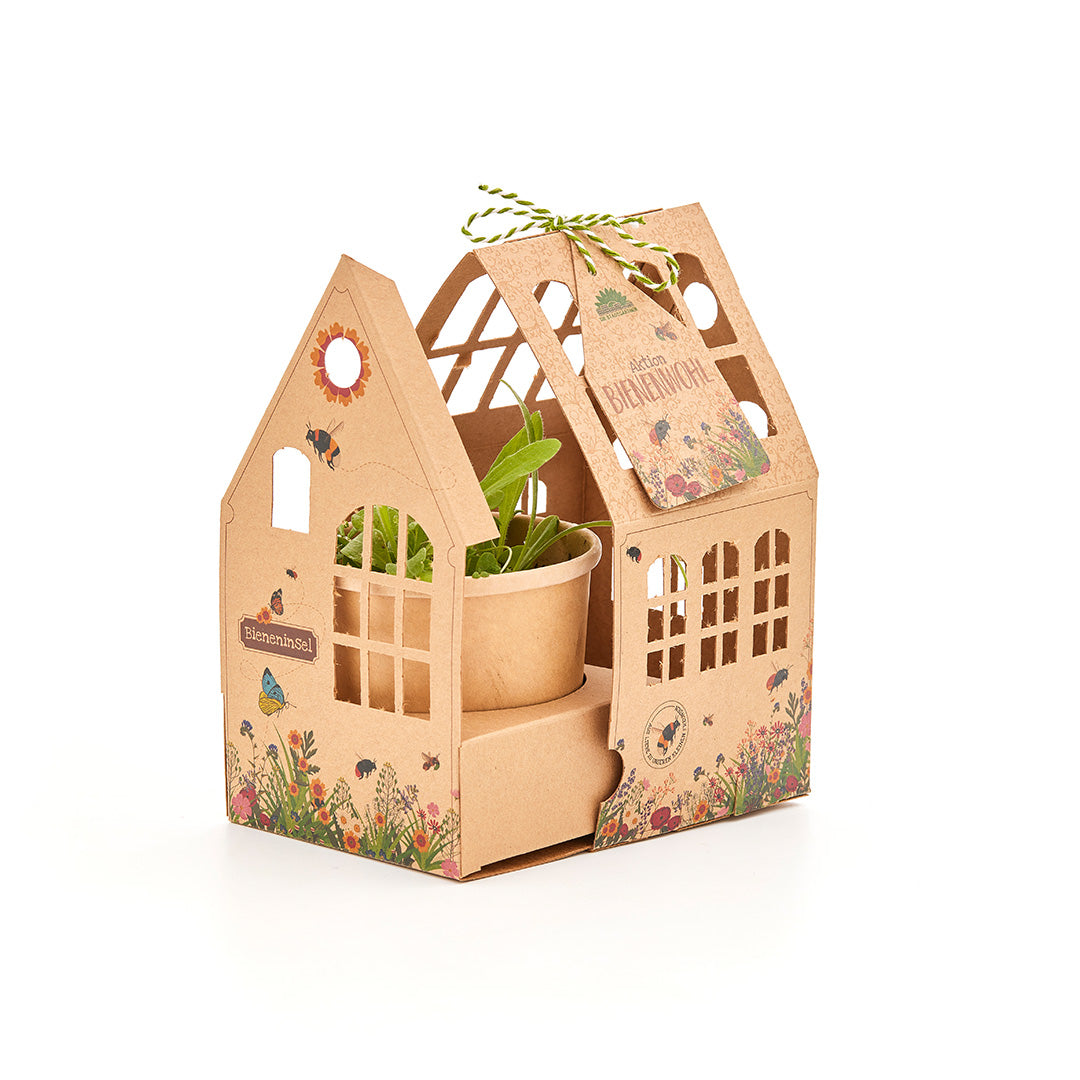 Gewächshäuschen "Bieneninsel"