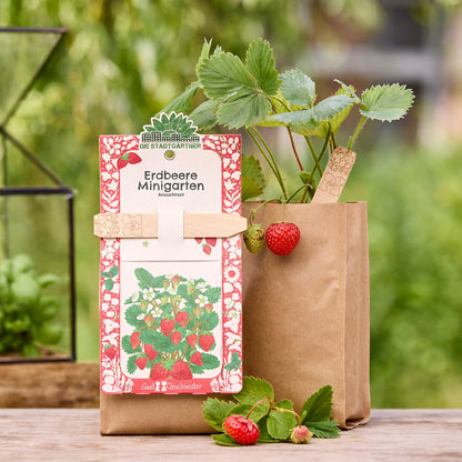 Anzuchtset – Minigarten Erdbeeren