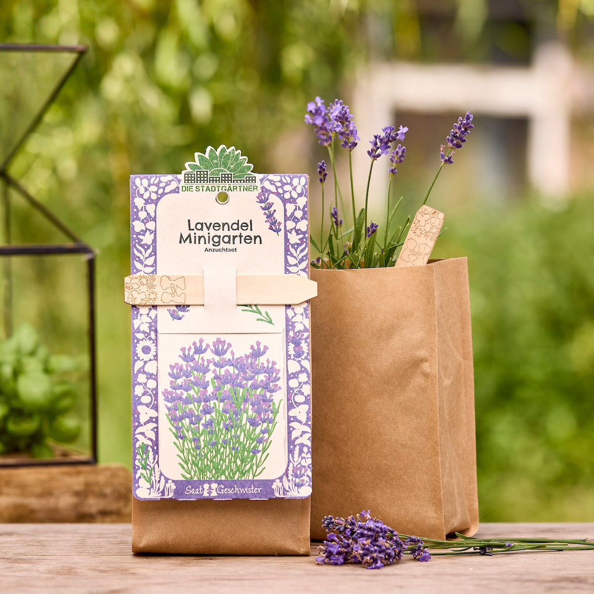 Anzuchtset – Minigarten BIO-Lavendel