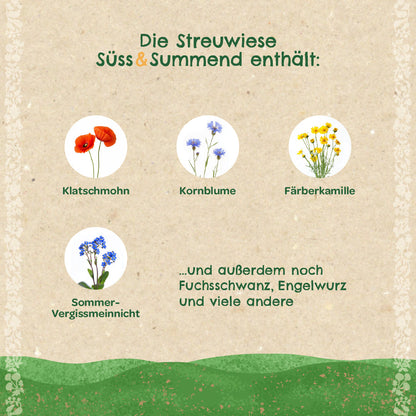 Streuwiese "Süß & Summend"