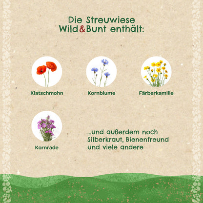 Streuwiese "Wild & Bunt"