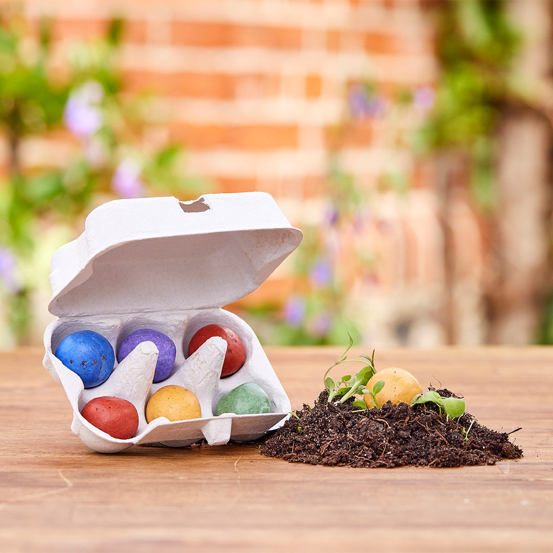 6 bunte Blumenmurmeln im Eierkarton