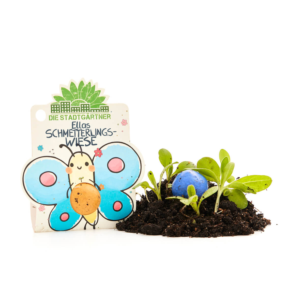 1 Blumenmurmel "Ellas Schmetterlingswiese"