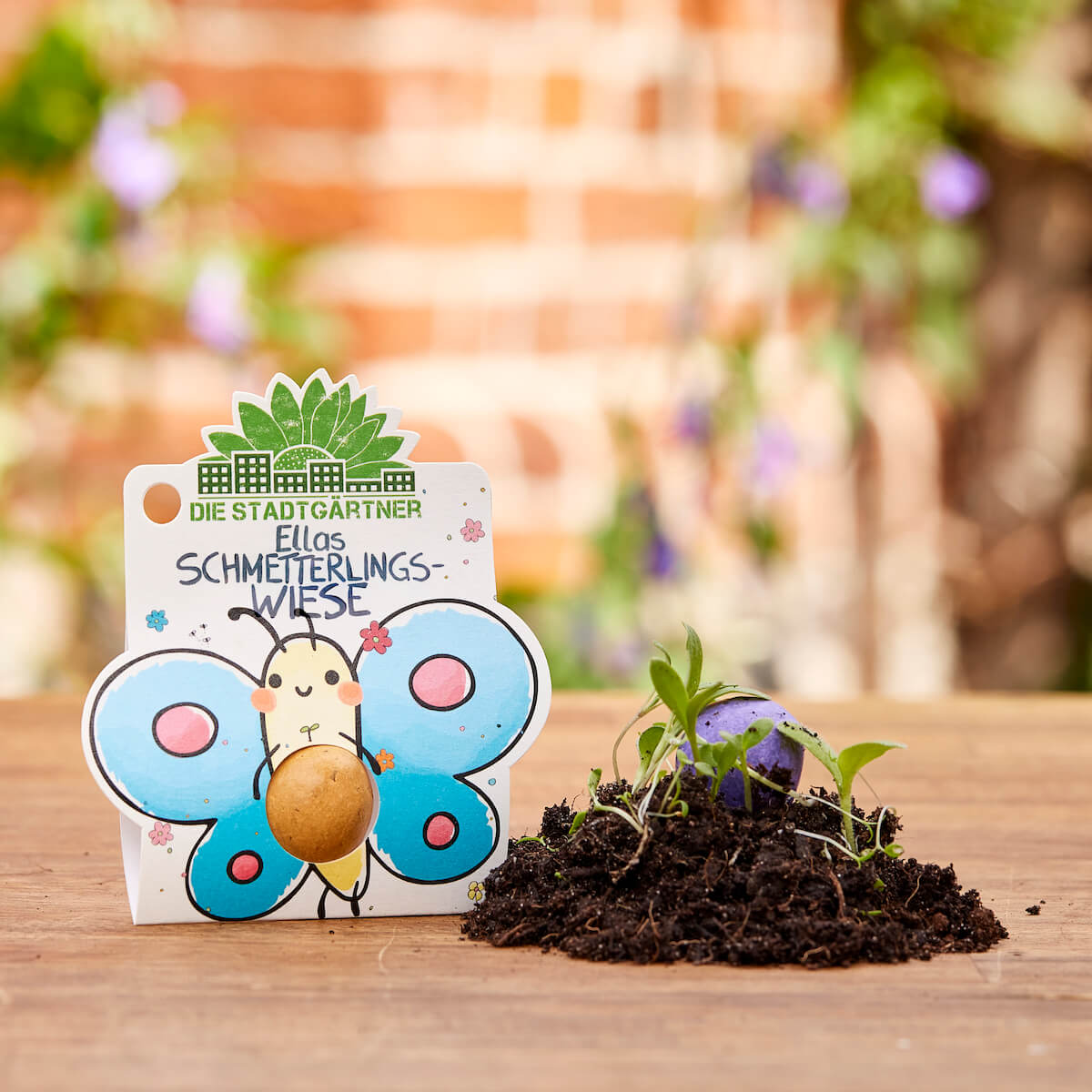 3 x 1 Blumenmurmel – Alle Sorten