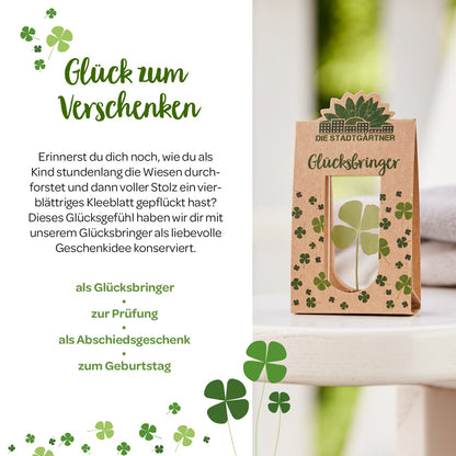 Glücksbringer – Echtes Kleeblatt