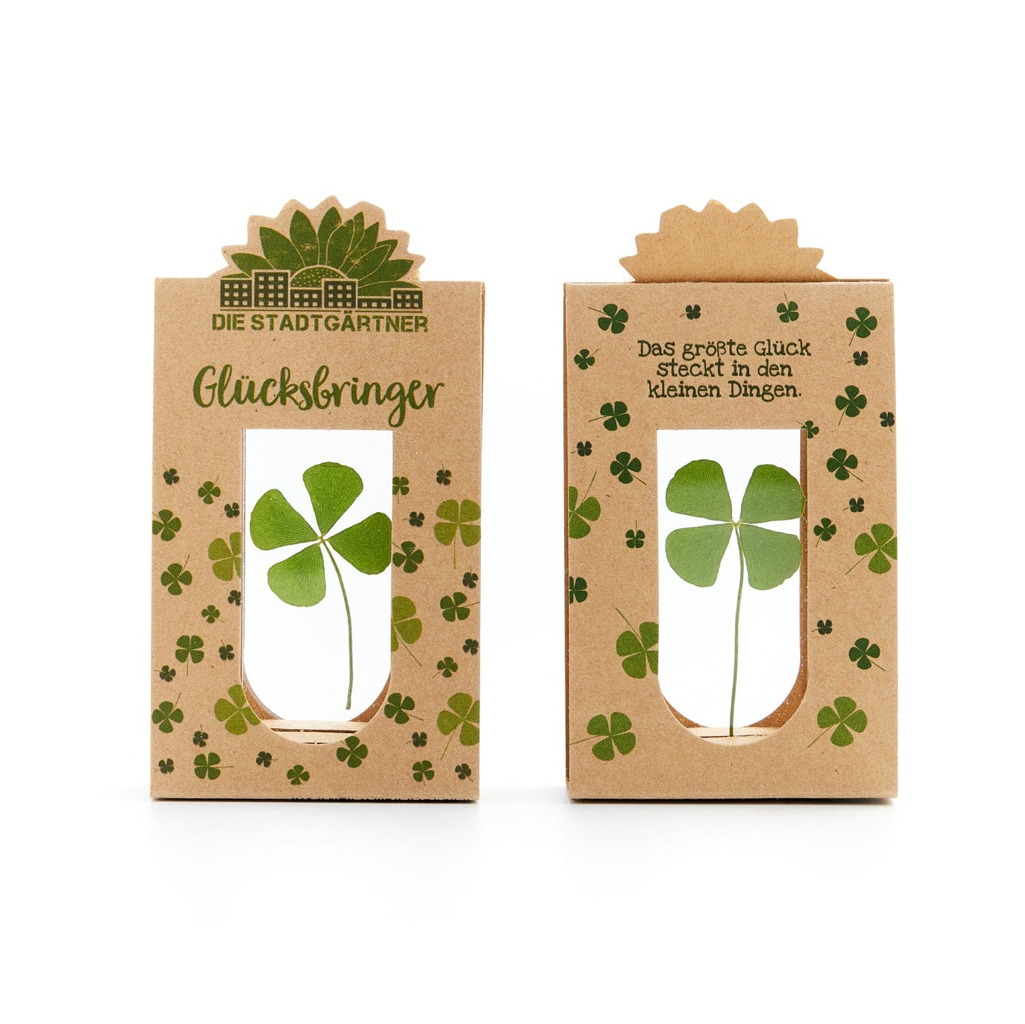 Glücksbringer – Echtes Kleeblatt